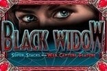 Black Widow Slots