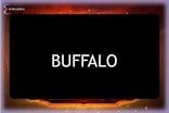 Buffalo Slot Machine