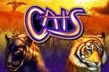 Cats Slots