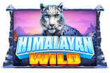 Himalayan Wild slot