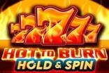 Hot to Burn Hold and Spin slot