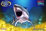 Ocean Spin Mighty Shark