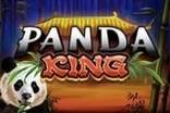 Panda King Slots