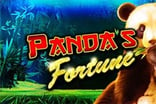 Pandas Fortune