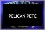 Pelican Pete Slots