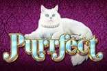 Purrfect Slots