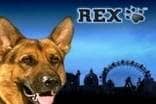 Rex Slots Rex Slots