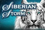 Siberian Storm Slot Machine