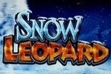 Snow Leopard Slots