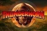Thunderhorn Slots