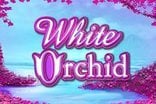 White Orchid Slots