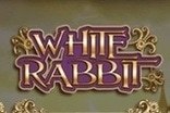 White Rabbit Slots