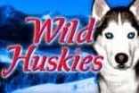 Wild Huskies Slots