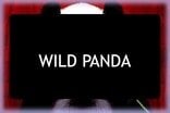 Wild Panda Slots Wild Panda Slots