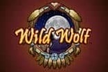 Wild Wolf Slots