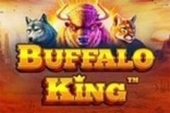 Buffalo Slots