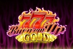 Burn 'em Up Gold slot