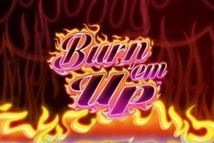 Burn 'em Up slot
