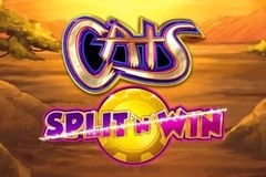 Cats Split 'n' Win slot