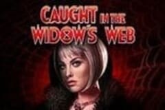 Caught in the Widow's Web