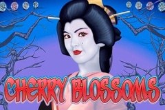 Cherry Blossoms slot