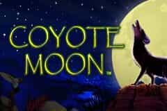 Coyote Moon slot