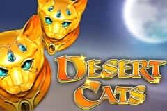 Desert Cats slot