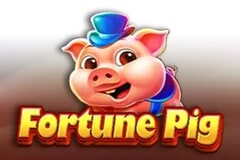 Fortune Pig