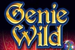 Genie Wild slot