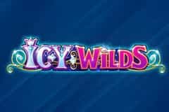 Icy Wilds slot