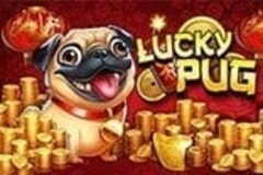 Lucky Pug