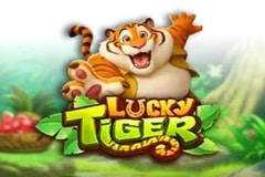 Lucky Tiger