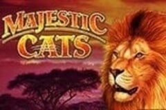 Majestic Cats
