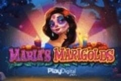 Maria's Marigolds slot