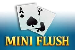 Mini Flush