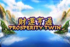 Prosperity Twin slot