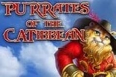 Purrates of the Catibbean