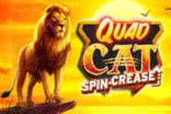 Quad Cat