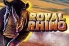Royal Rhino