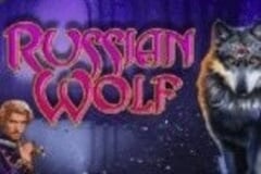 Russian Wolf