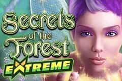 Secrets of Forest Extreme