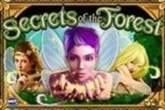 Secrets of the Forest
