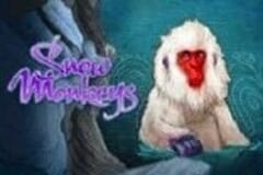 Snow Monkeys