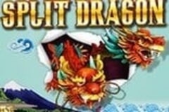 Split Dragon