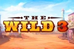 The Wild 3 slot
