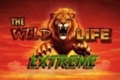 The Wild Life Extreme slot
