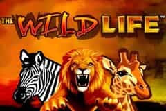 The Wild Life slot