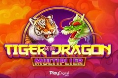 Tiger and Dragon Multiplier slot