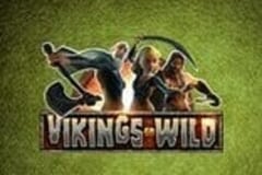 Vikings Go Wild slot