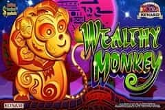 Wealthy Monkey